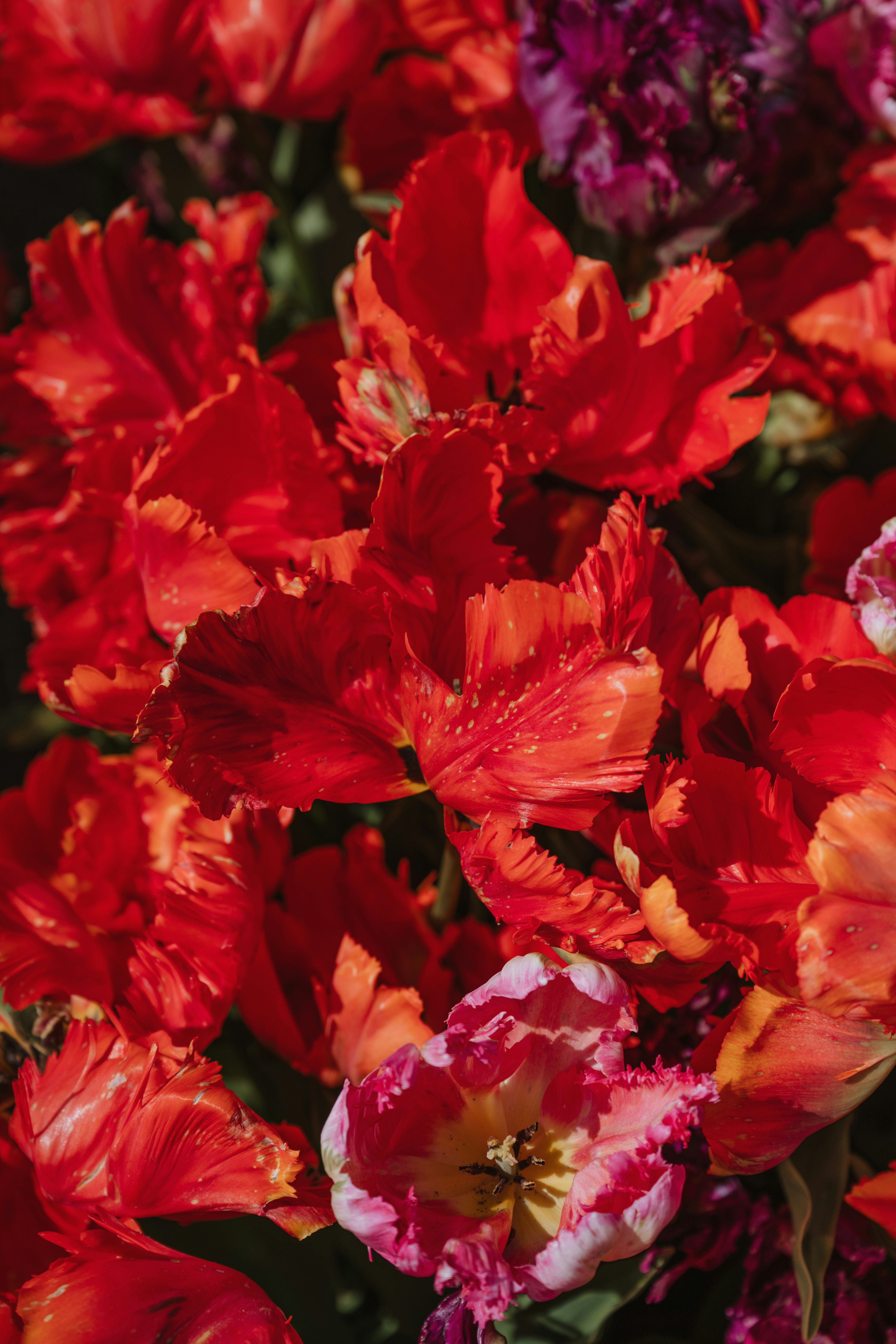 Photo by anitaaustvika