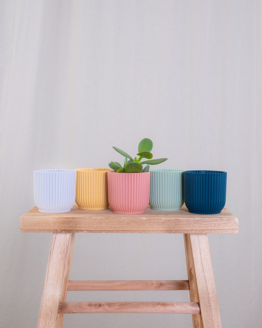 a wooden table topped with three cups filled with plants