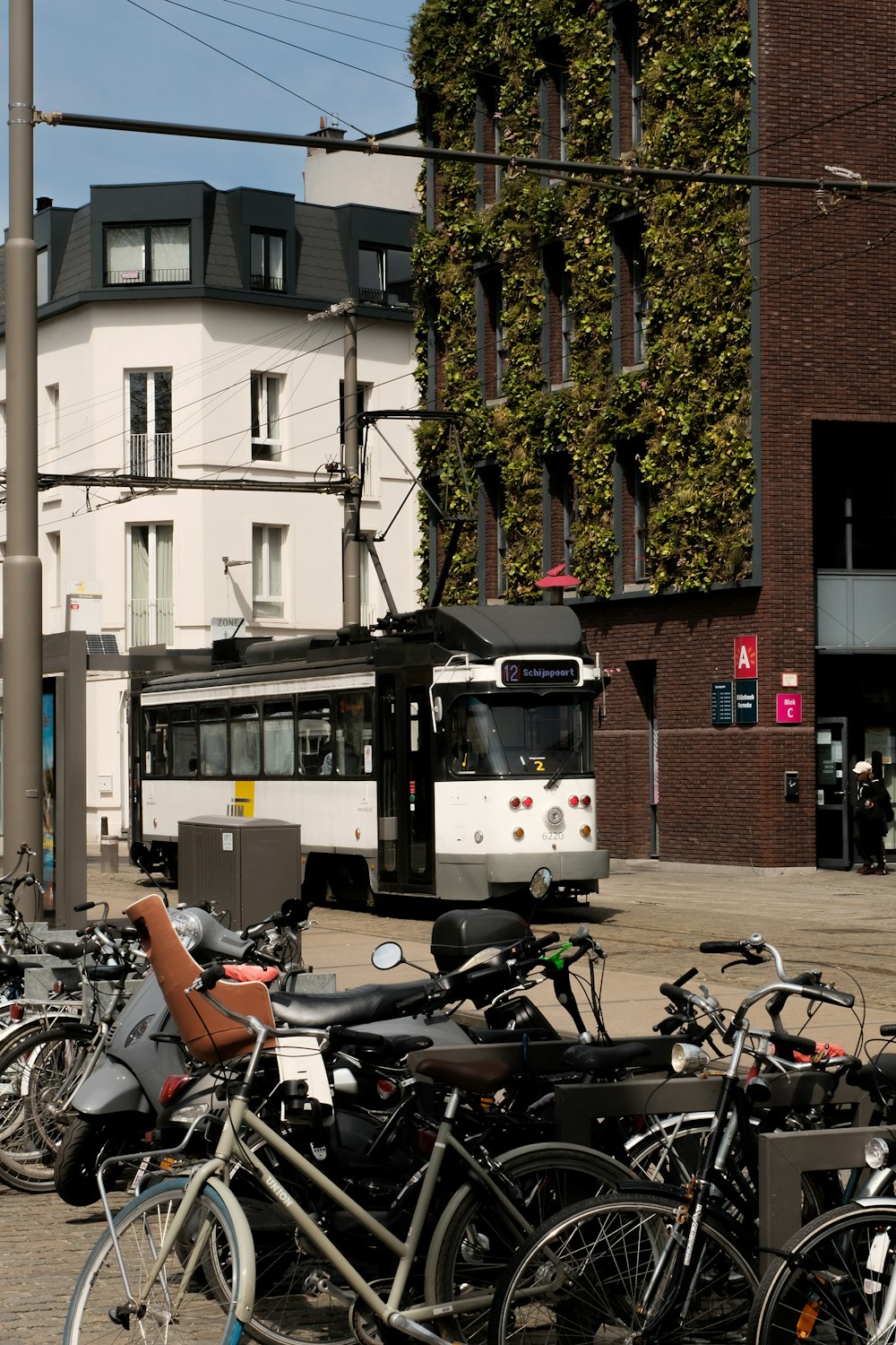 un tas de vélos qui sont assis dans la rue