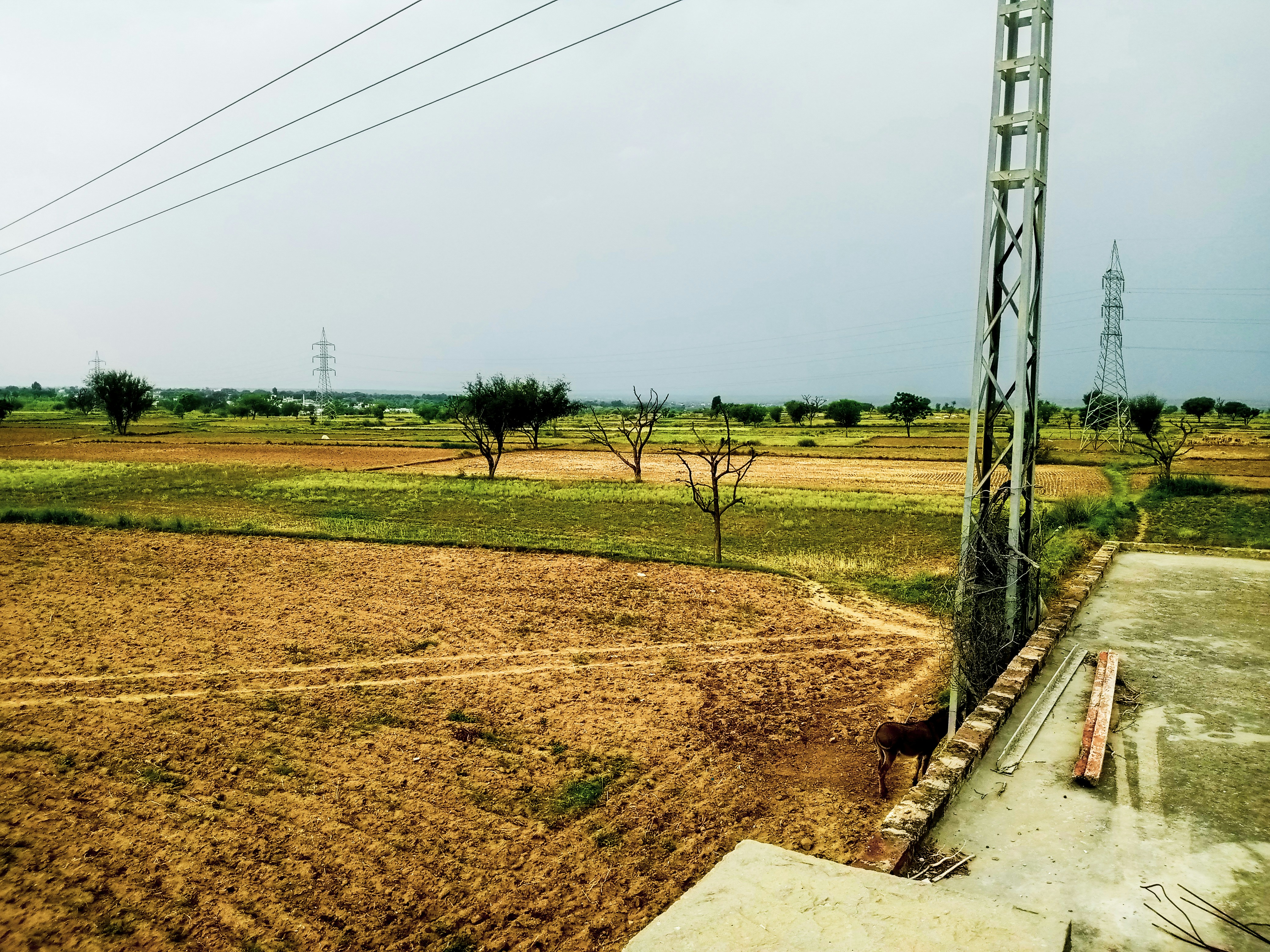 Rural development project