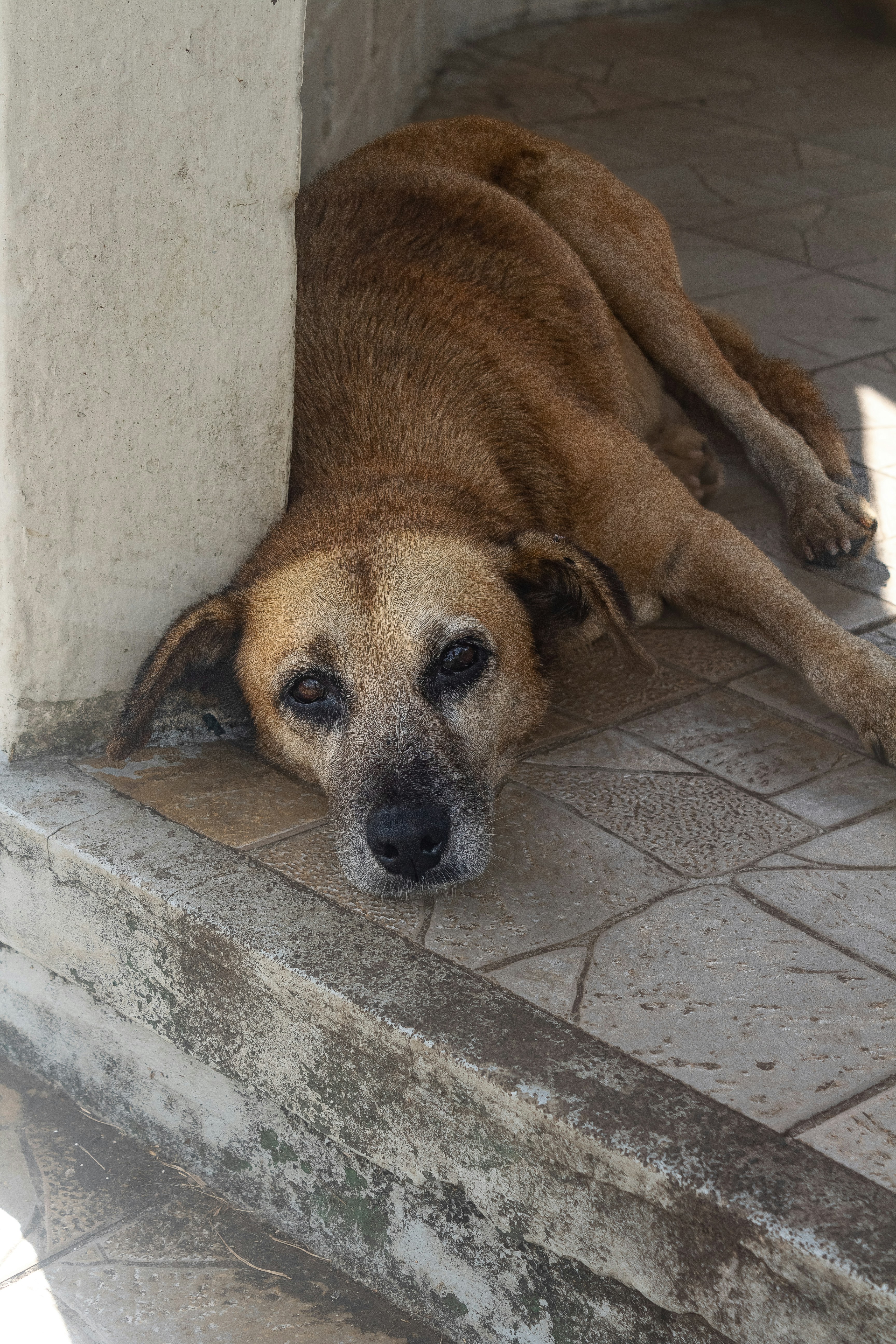 Photo by plate_stories_tsi