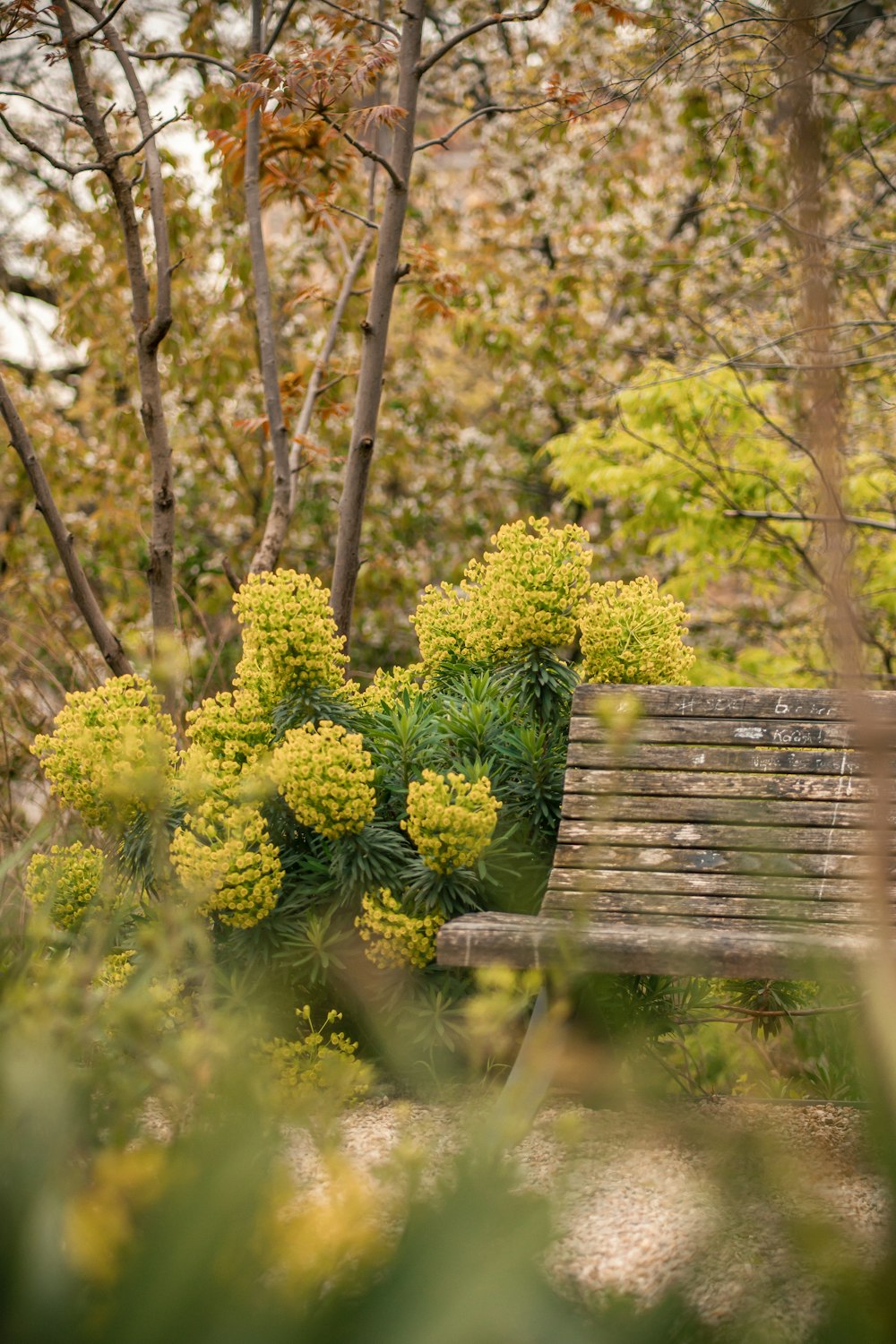 a wooden bench sitting in the middle of a forest