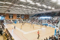Vibrant crowd cheering at a basketball game illuminated under stadium lights.
