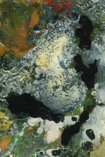 A visually rich composition from a recent visual project highlighting texture and color contrast.