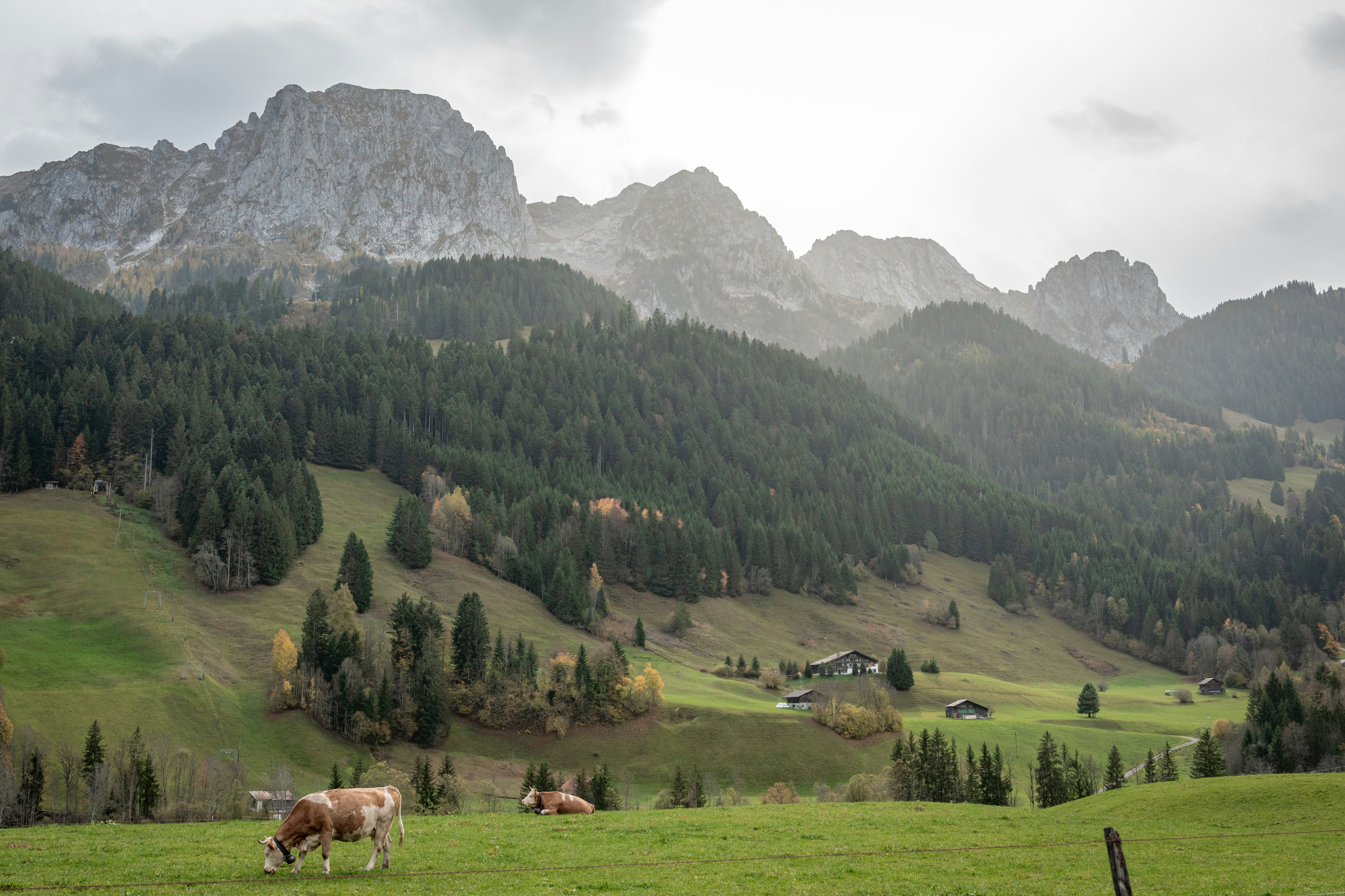 Photo by timothycuenat