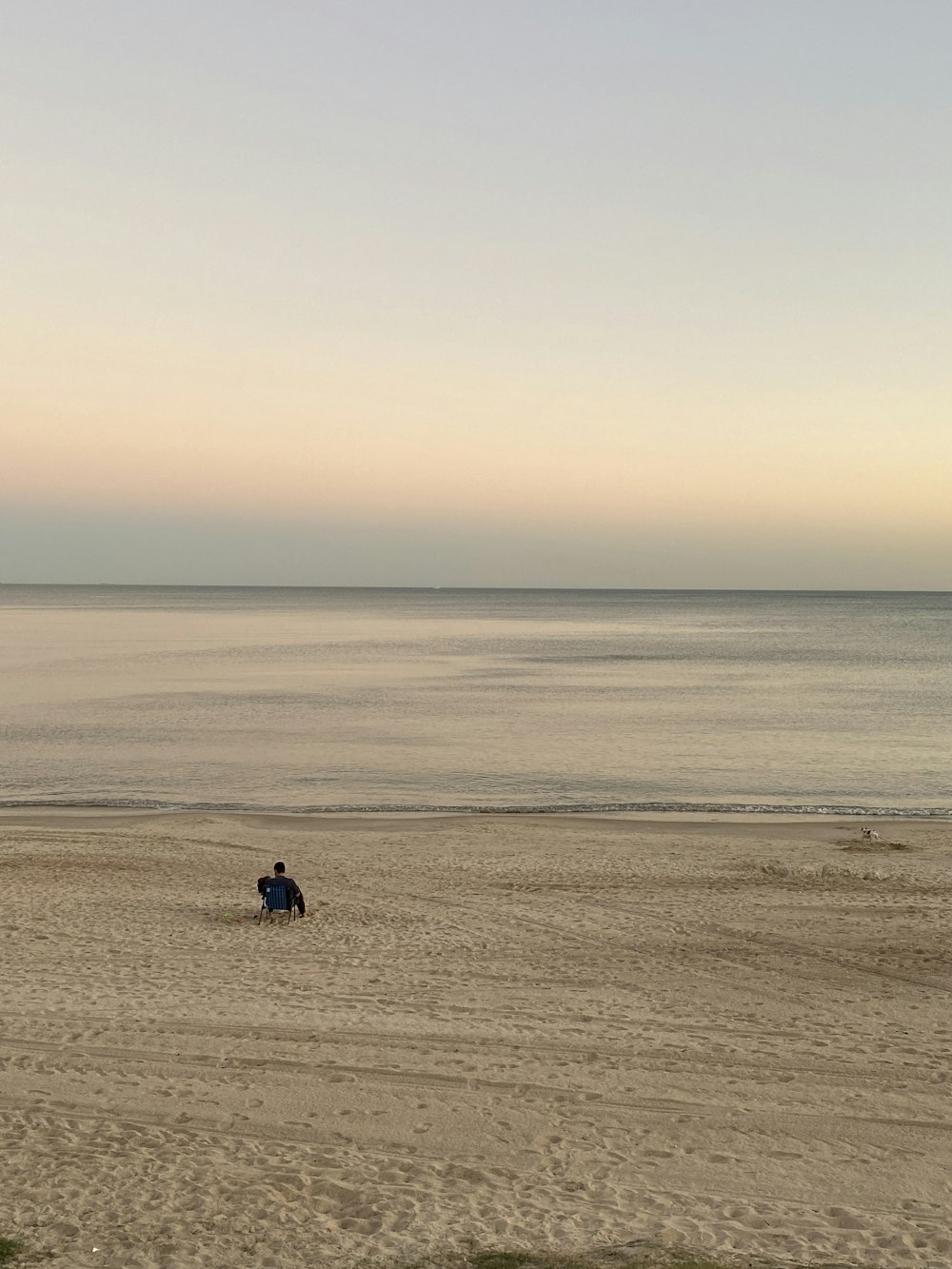 a person riding a horse on a beach