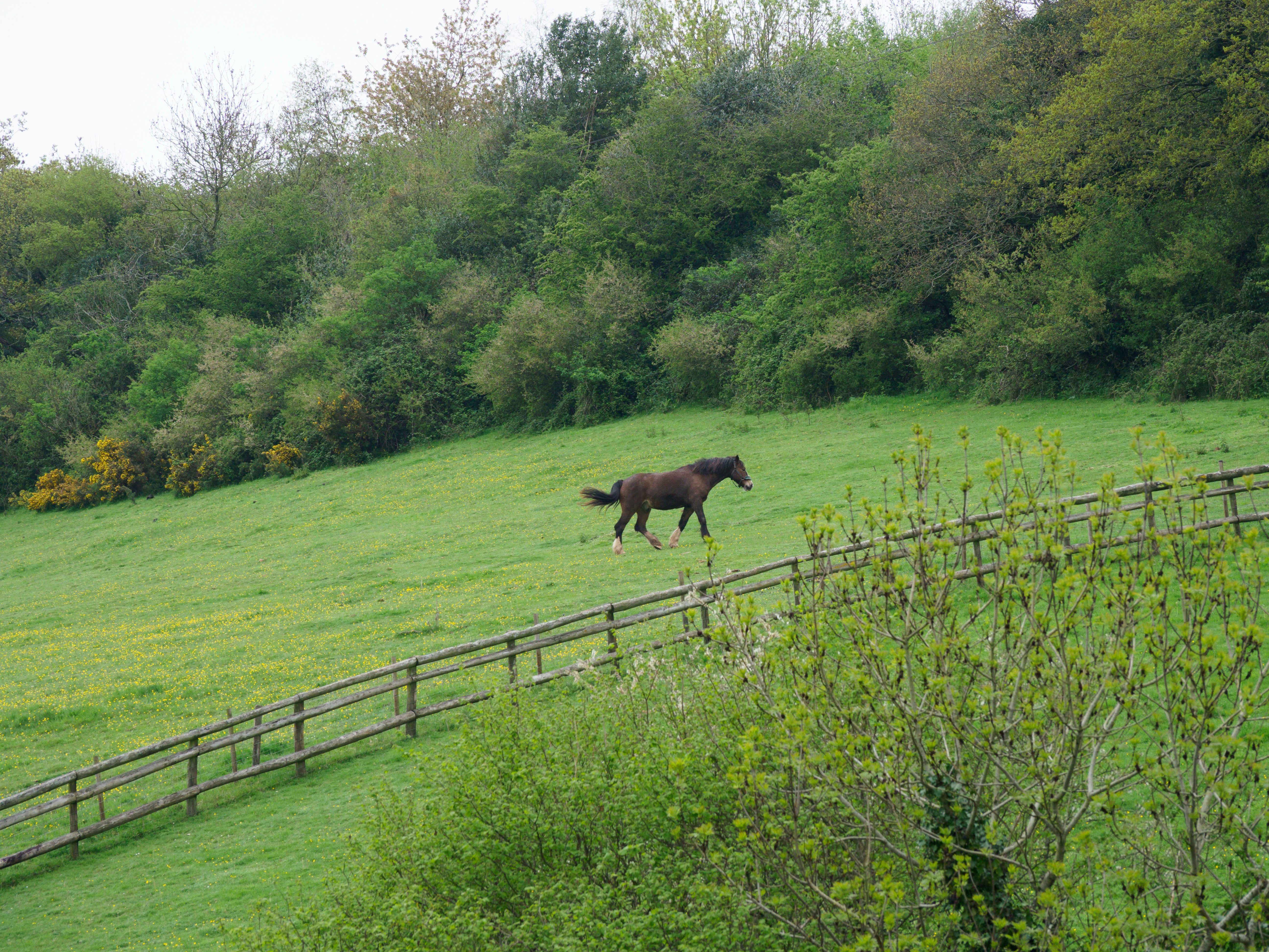 Photo by brett_jordan