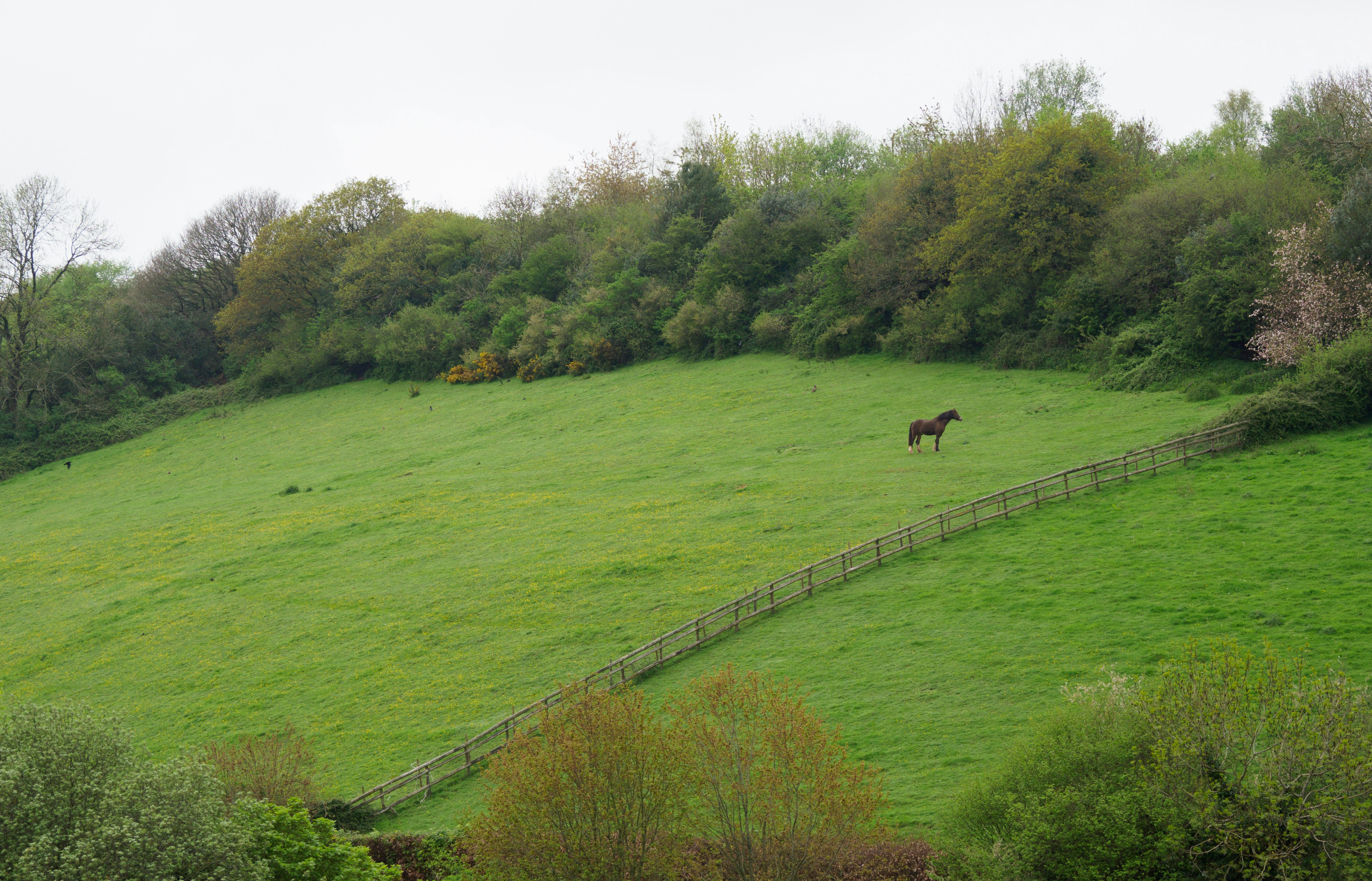 Photo by brett_jordan