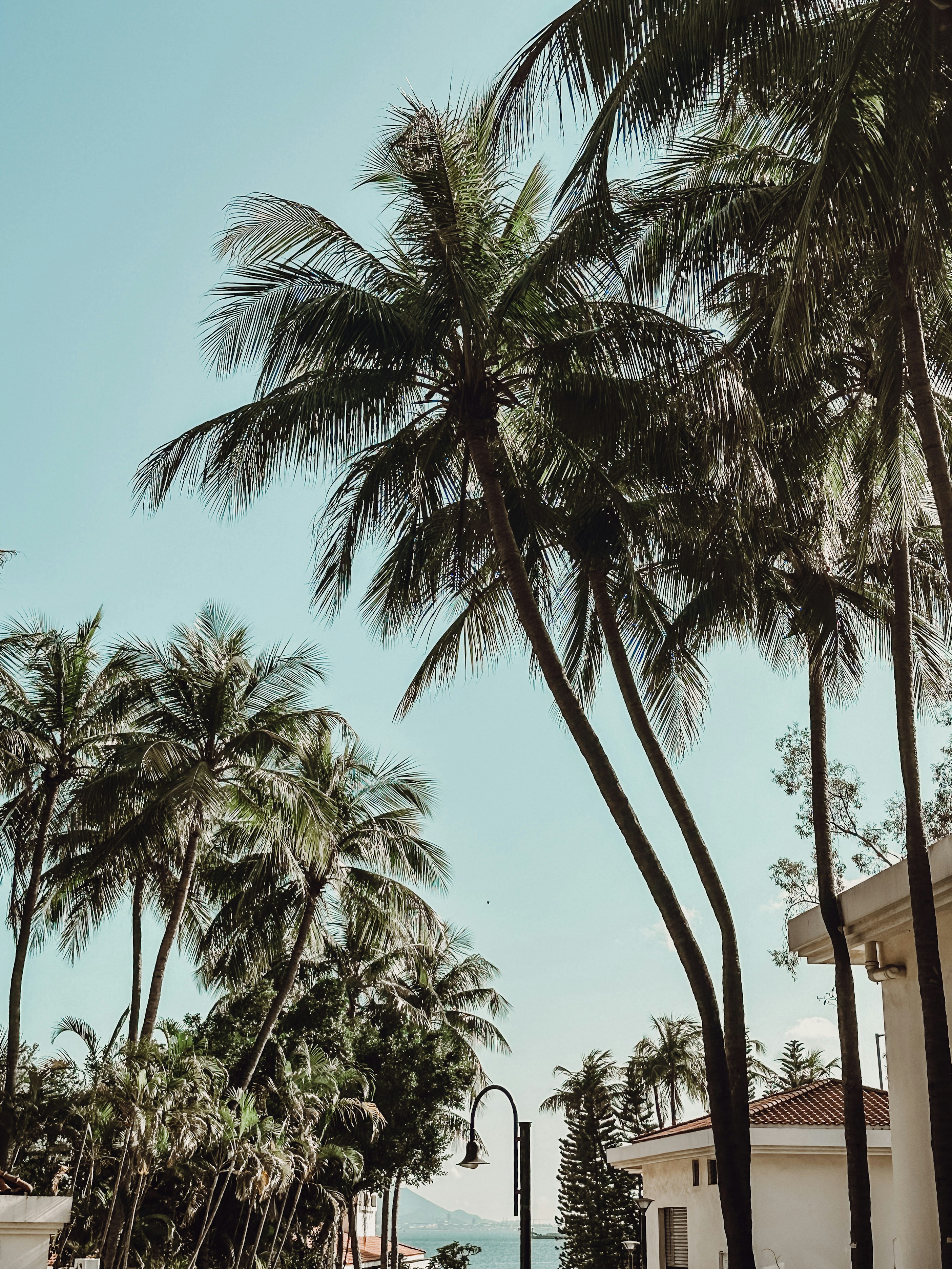 Photo by thelillianh