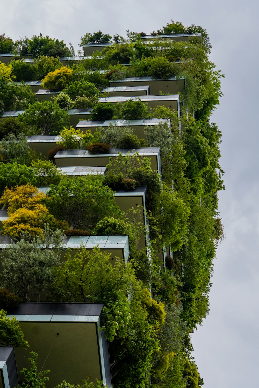 a very tall building covered in lots of green plants