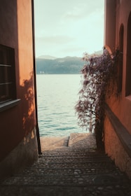 Early morning cobblestone path near the lake surrounded by lush greenery.