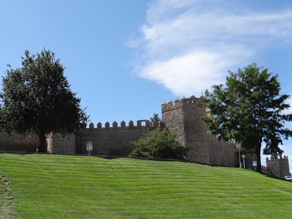 a grassy hill with a castle in the background