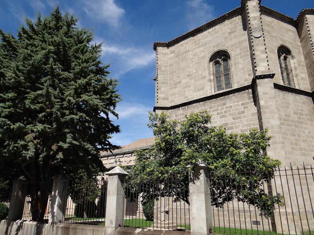 a church with a tall tower and a tree in front of it