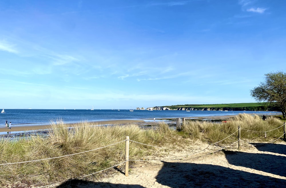 a view of a beach with a few boats in the water