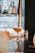 A cocktail glass containing a light brown beverage is placed on a polished dark bar counter. In the background, there are blurred bottles on a shelf, suggesting a bar setting. The atmosphere appears sophisticated and well-lit, with reflections visible on the bar's surface.
