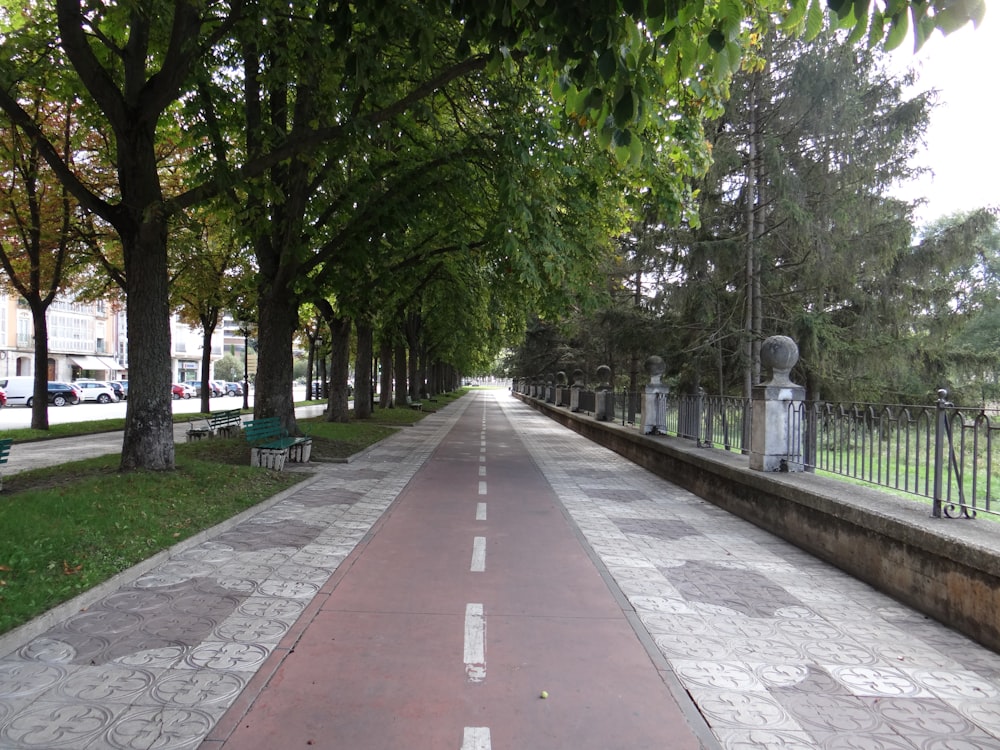 a long sidewalk lined with trees and benches
