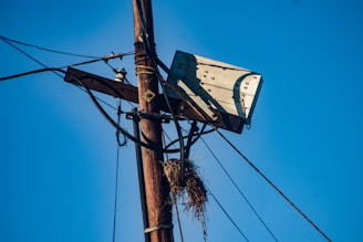 An electric pole with visible wires is topped by a wooden platform holding a large satellite dish. A nest made of twigs is attached to the structure below the dish. The sky is clear and blue, providing a contrasting background.