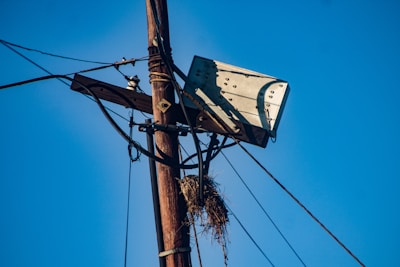 An electric pole with visible wires is topped by a wooden platform holding a large satellite dish. A nest made of twigs is attached to the structure below the dish. The sky is clear and blue, providing a contrasting background.