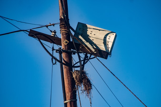 An electric pole with visible wires is topped by a wooden platform holding a large satellite dish. A nest made of twigs is attached to the structure below the dish. The sky is clear and blue, providing a contrasting background.