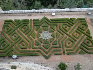 An intricately designed geometric hedge garden viewed from above, featuring symmetrical patterns with a central circular motif bordered by angular lines. The garden is enclosed by a low, stone wall and surrounded by a dirt path. The landscape beyond the garden is densely wooded, with varying shades of green.