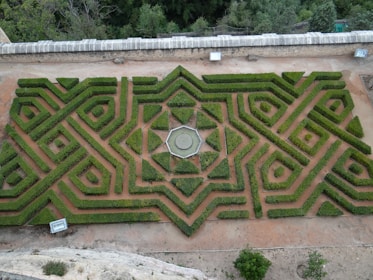 An intricately designed geometric hedge garden viewed from above, featuring symmetrical patterns with a central circular motif bordered by angular lines. The garden is enclosed by a low, stone wall and surrounded by a dirt path. The landscape beyond the garden is densely wooded, with varying shades of green.