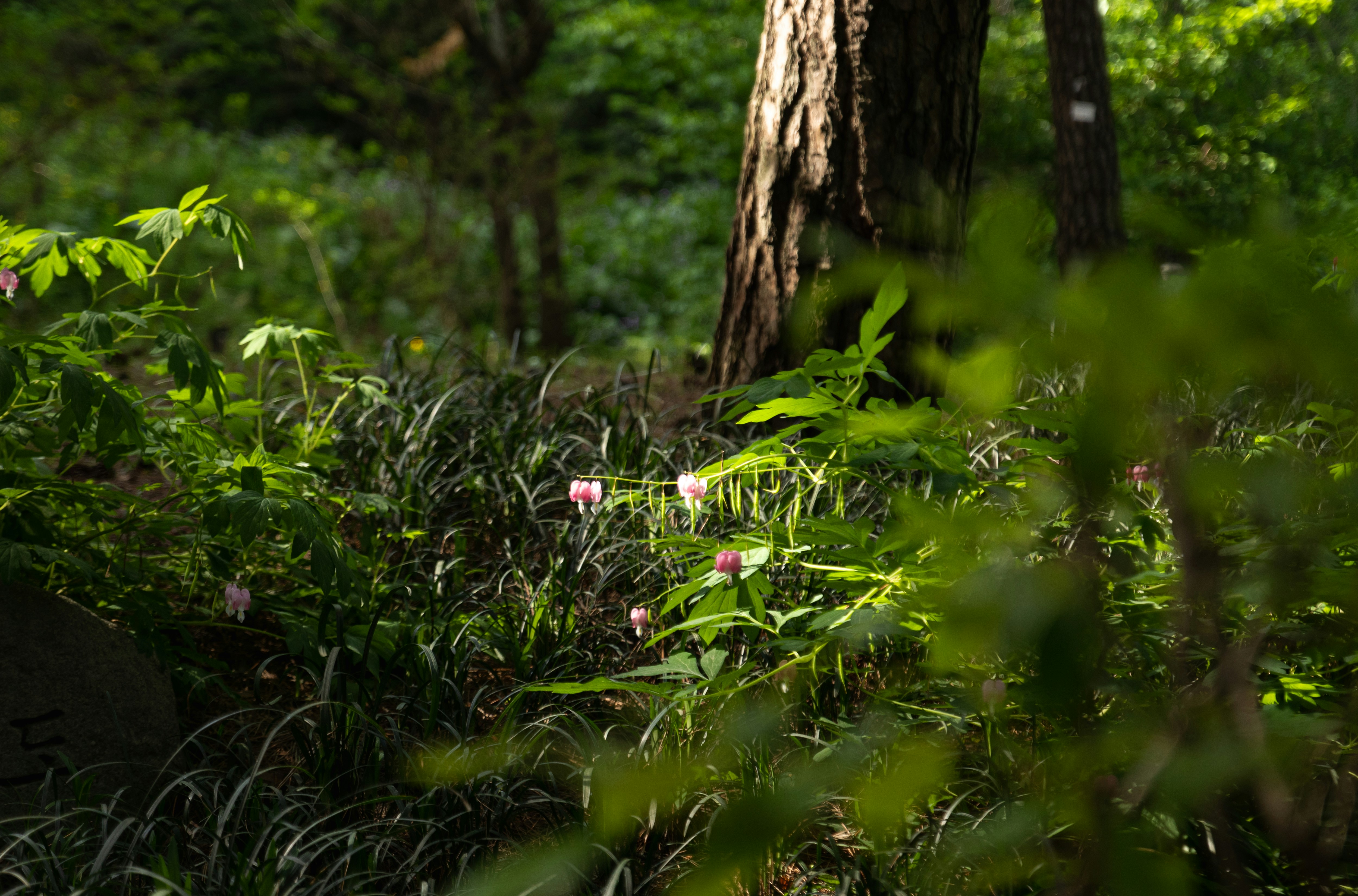 Photo by travelershigh