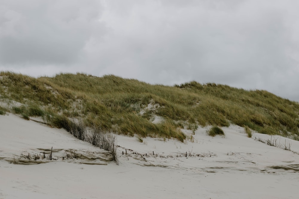 a grassy hill covered in sand and grass