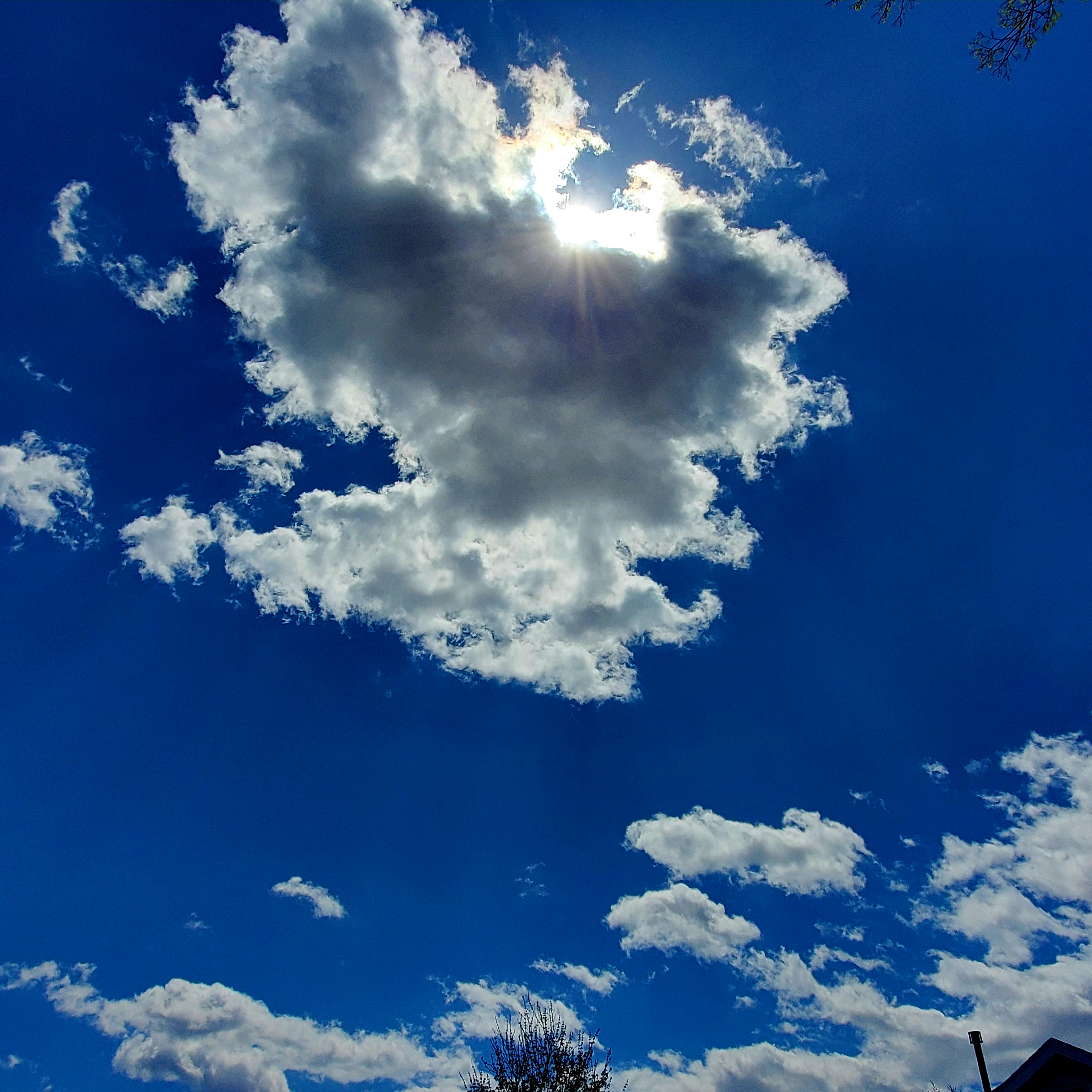 Photo by marcusjay214