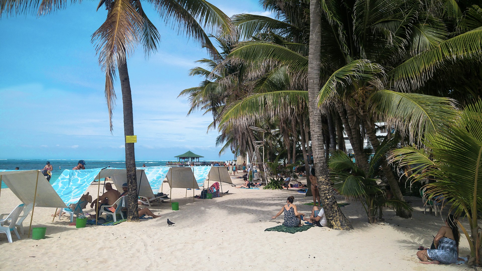 A tropical beach scene with several people lounging under makeshift tents on sandy shores. Tall palm trees sway with abundant green fronds casting shadows on several beachgoers. The ocean is visible in the background with gentle waves and a clear blue sky. Some individuals are reclining on towels, enjoying the sun, while others are under the shade of the tents.