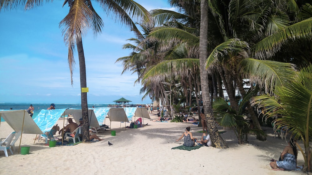 a group of people sitting on top of a sandy beach