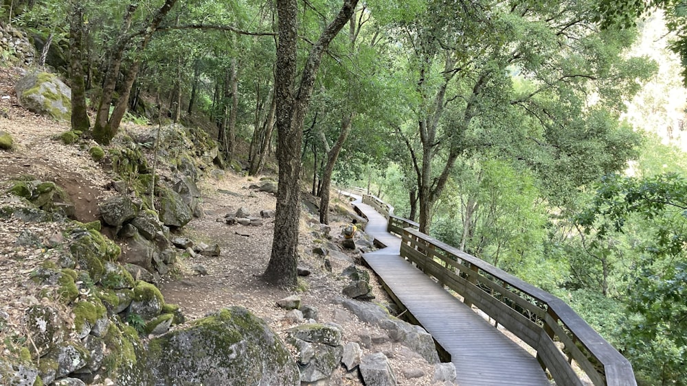 a wooden walkway in the middle of a forest