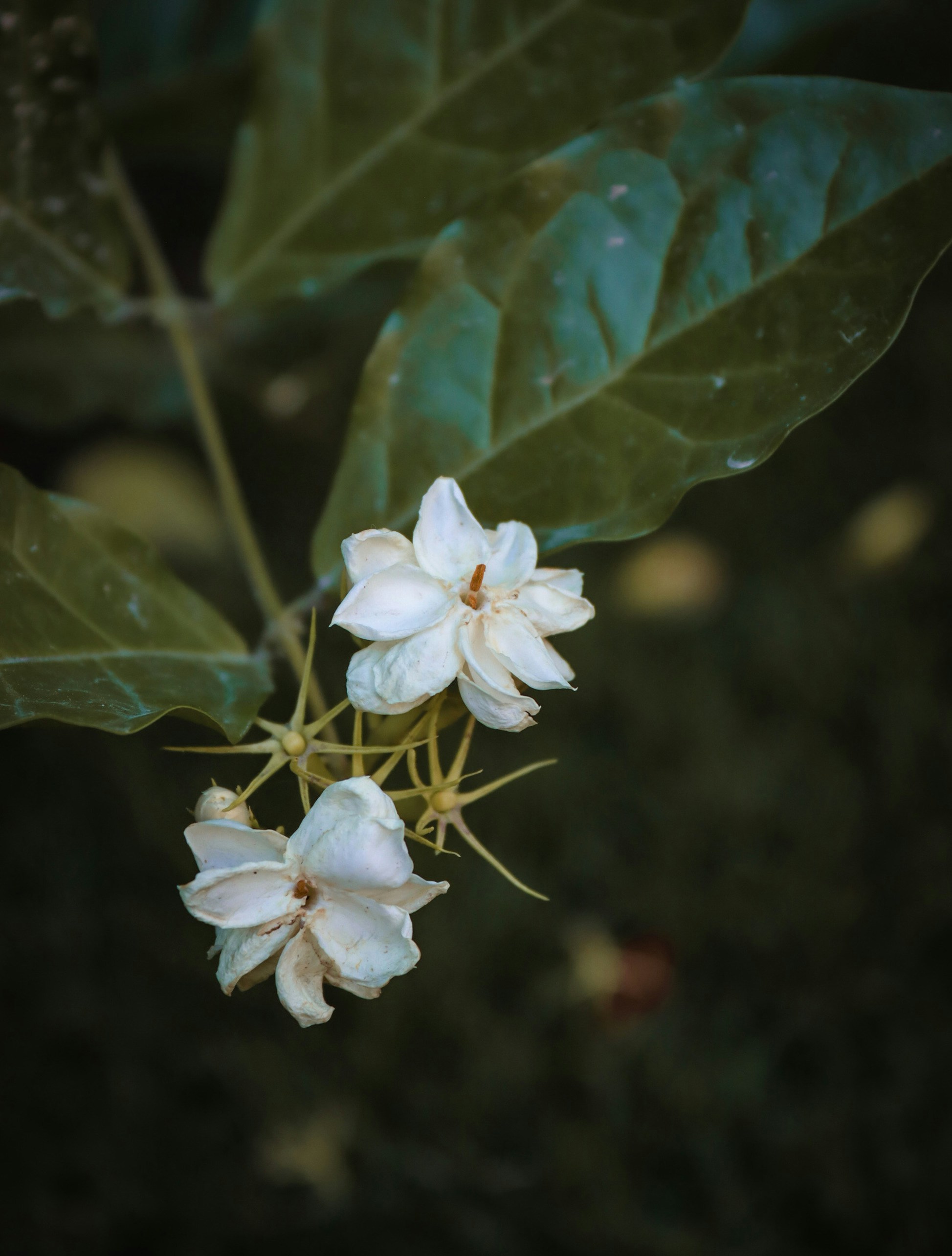 Photo by visualsbymaryam