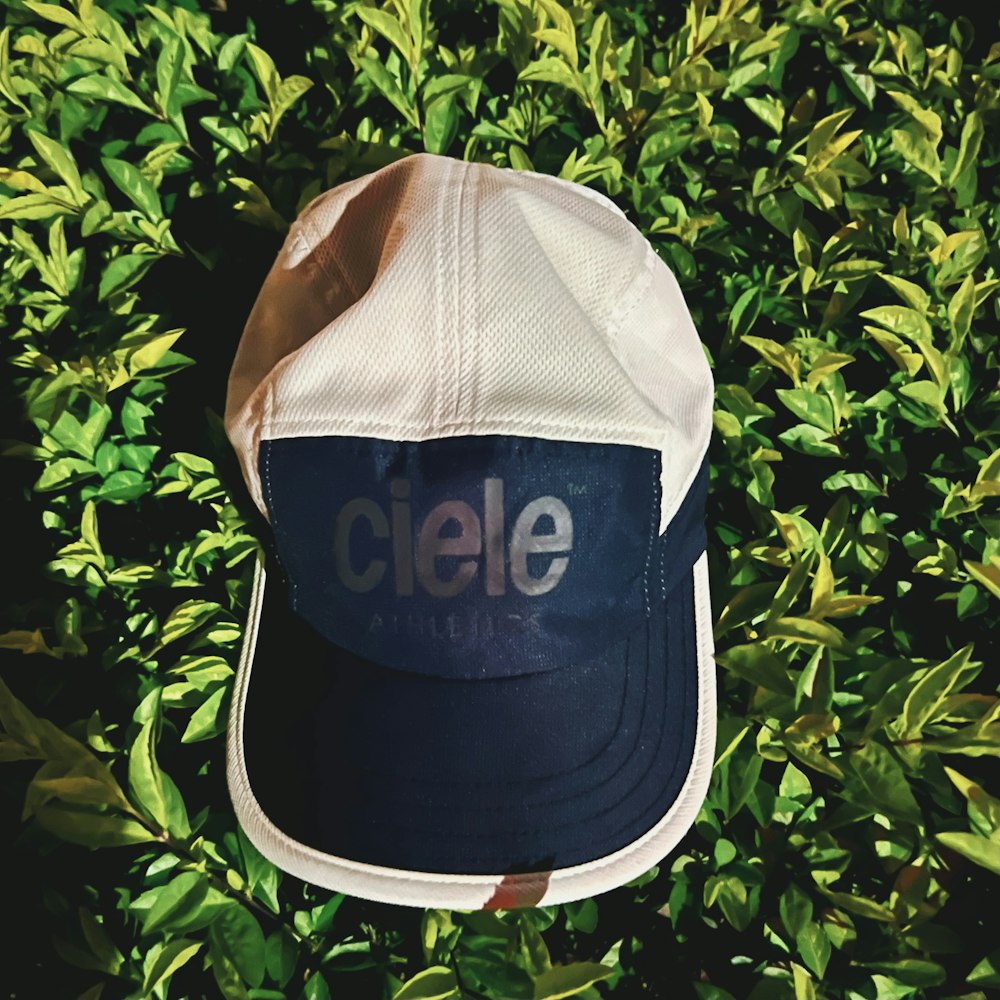 a close up of a hat on a bush