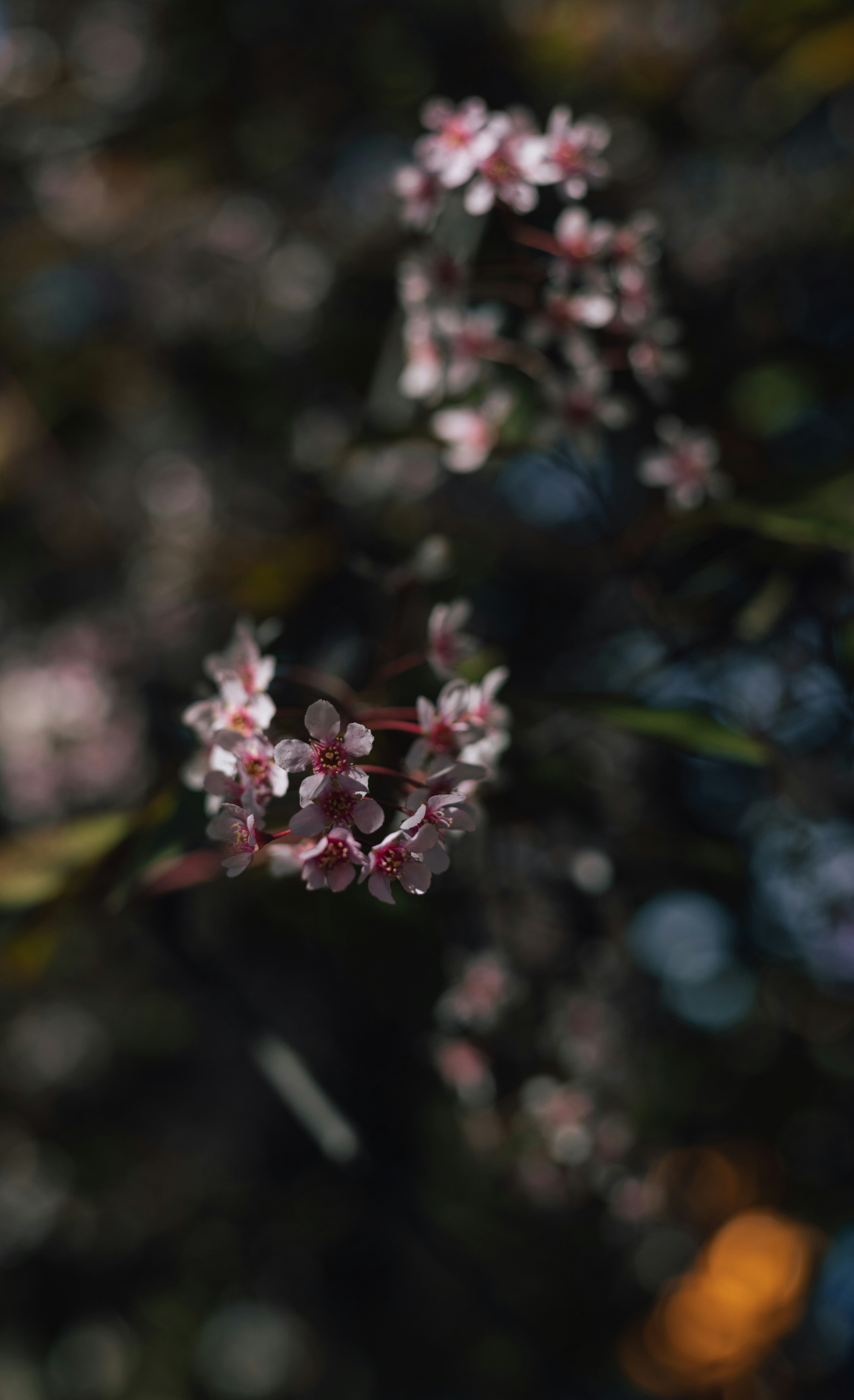 Photo by jahnomad
