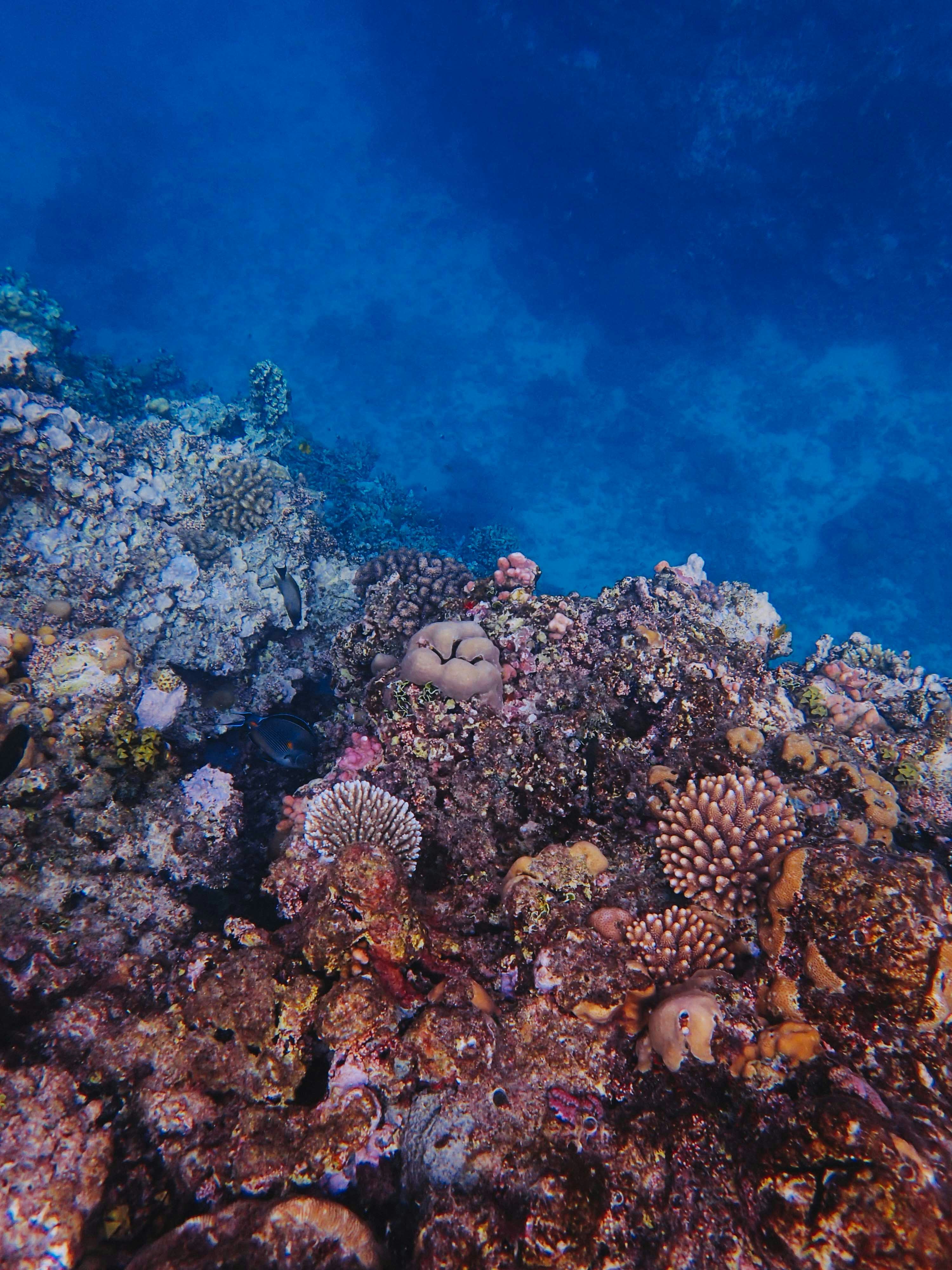 Photo by francesco_ungaro