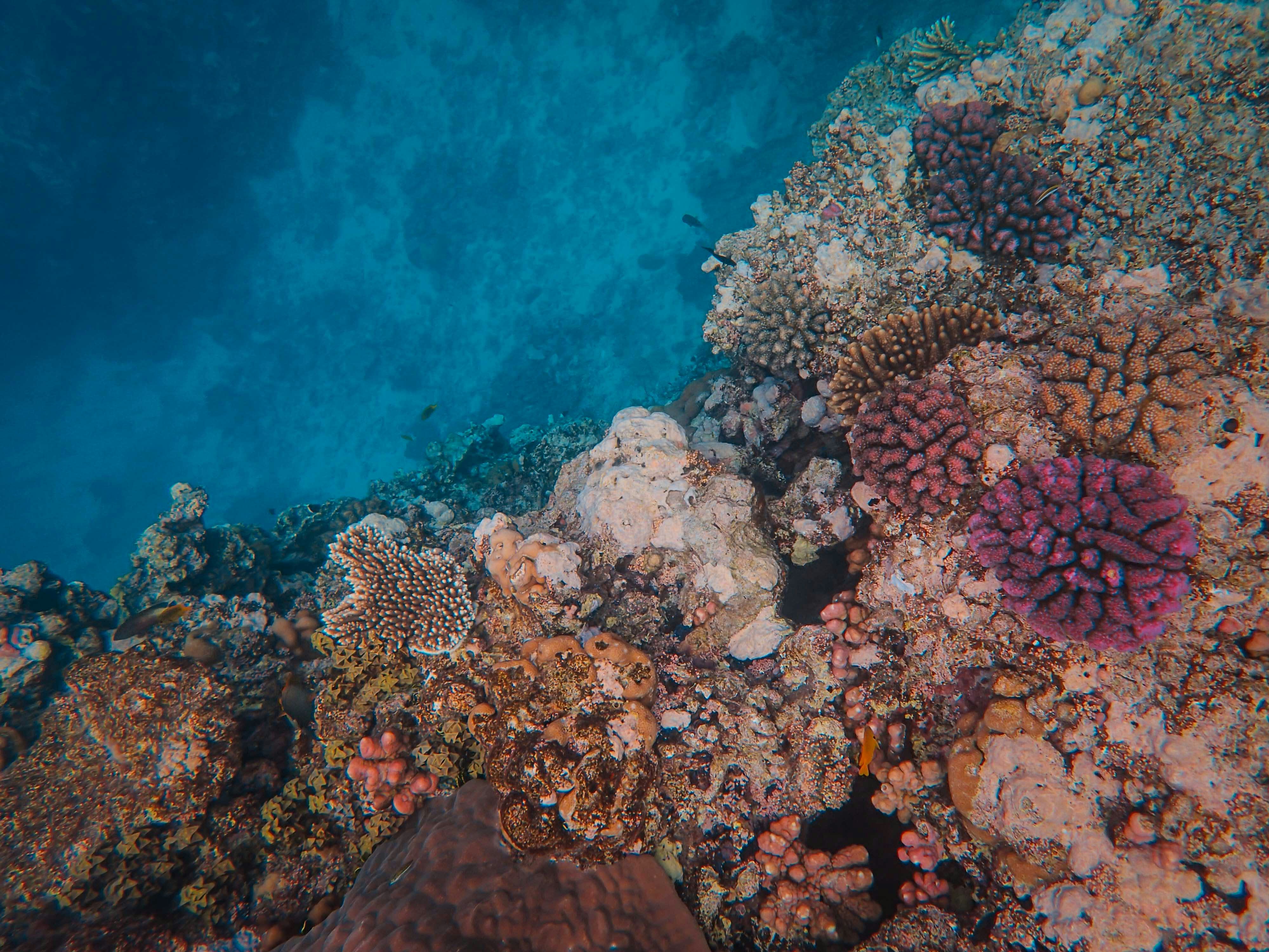 Photo by francesco_ungaro