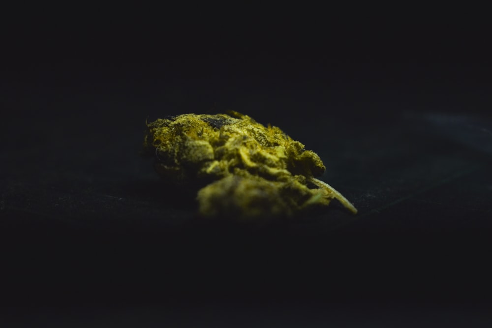 a close up of a yellow substance on a black surface