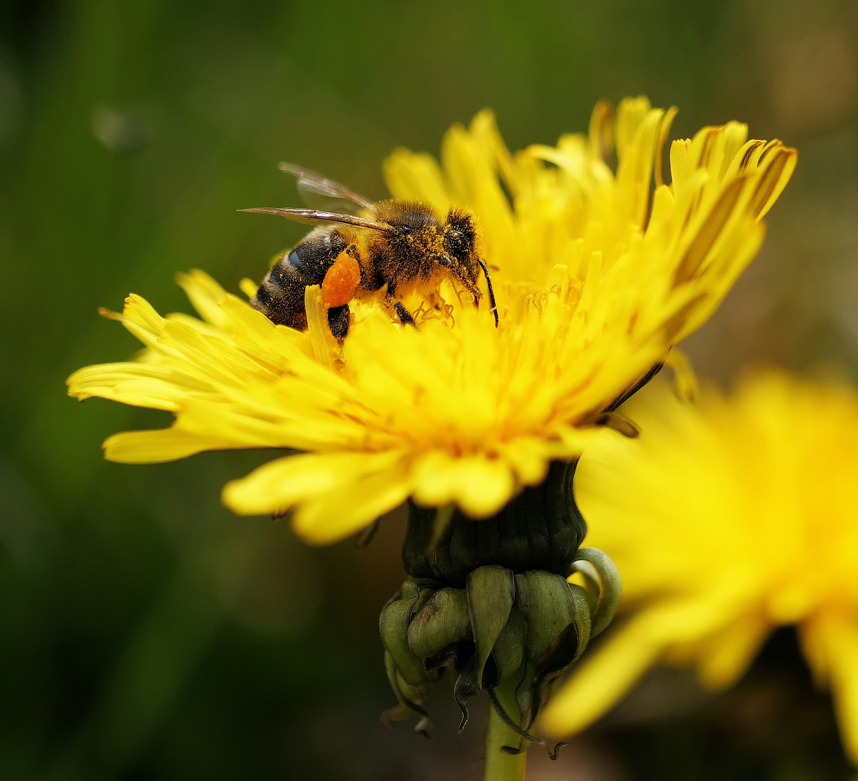 Photo by balmy_sunset