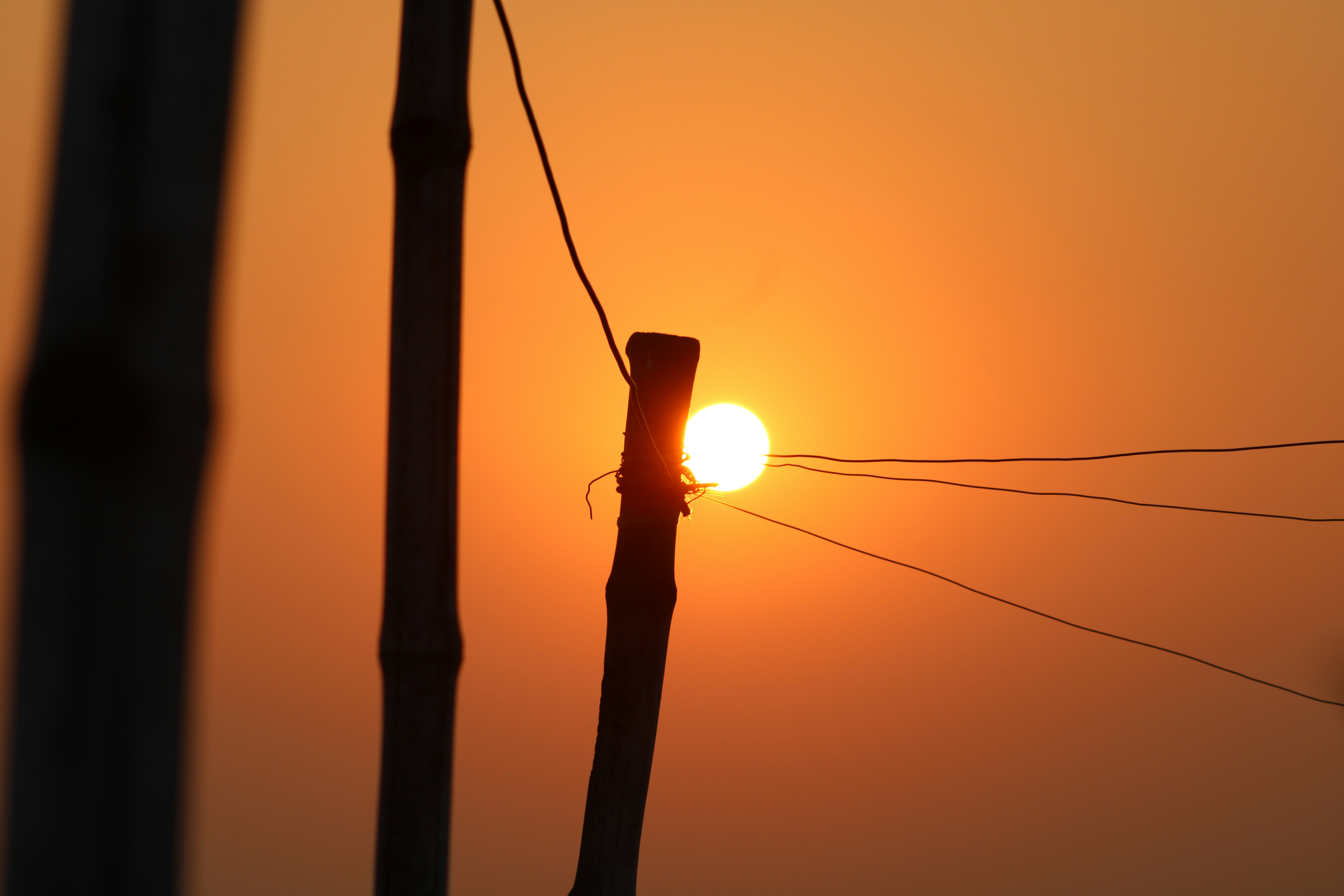 Photo by photoloveramico