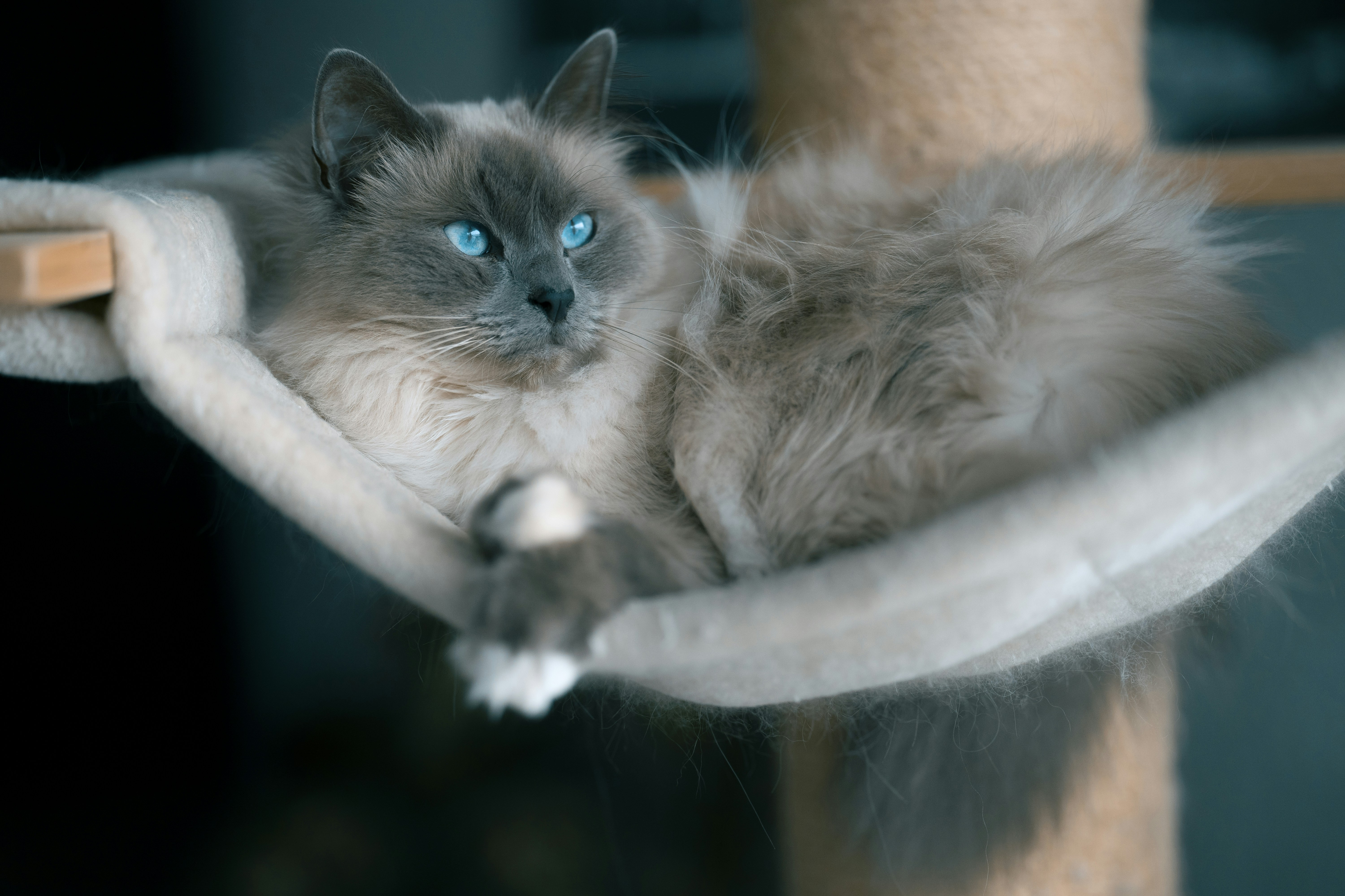 Photo by omarvellous14