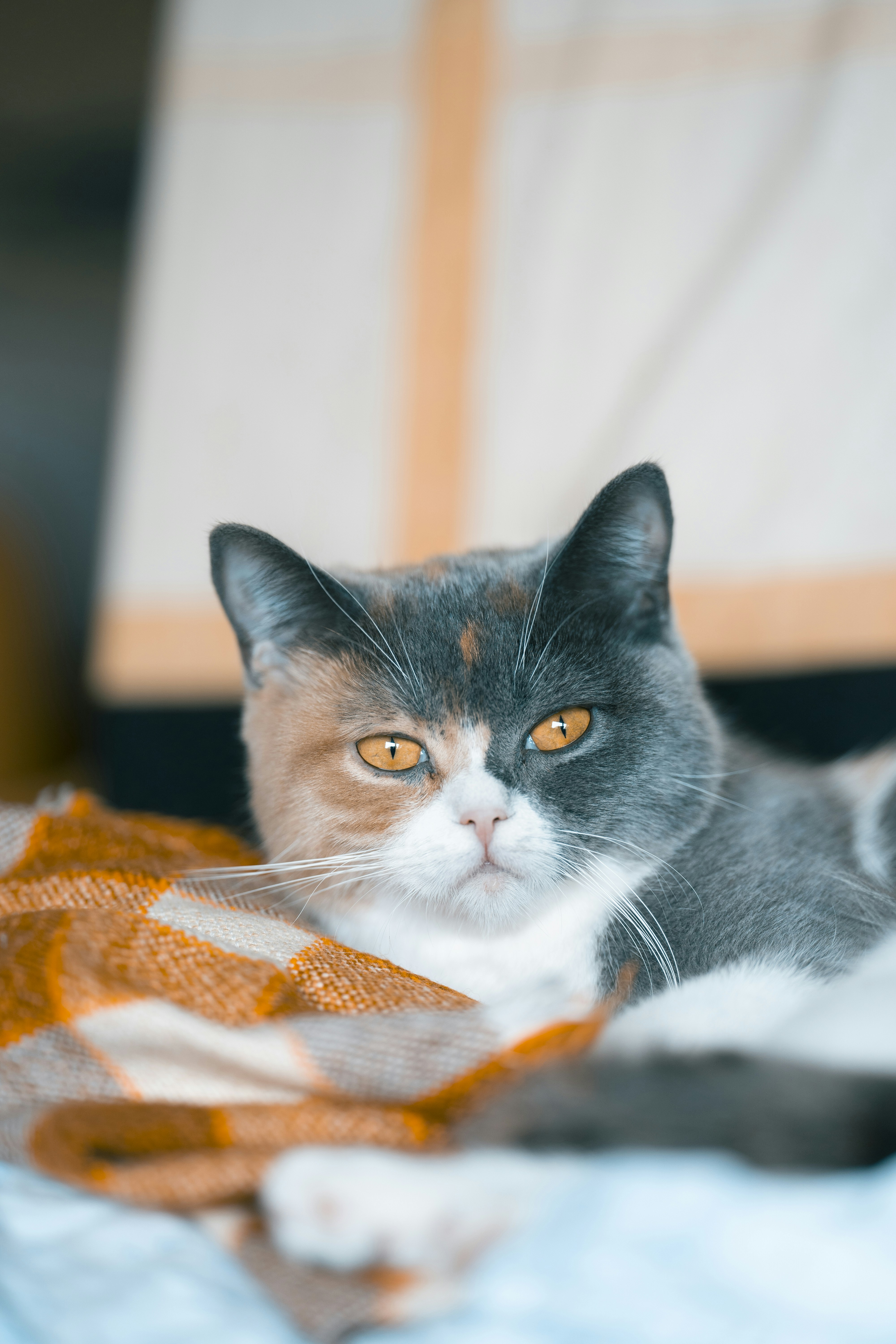 Photo by omarvellous14