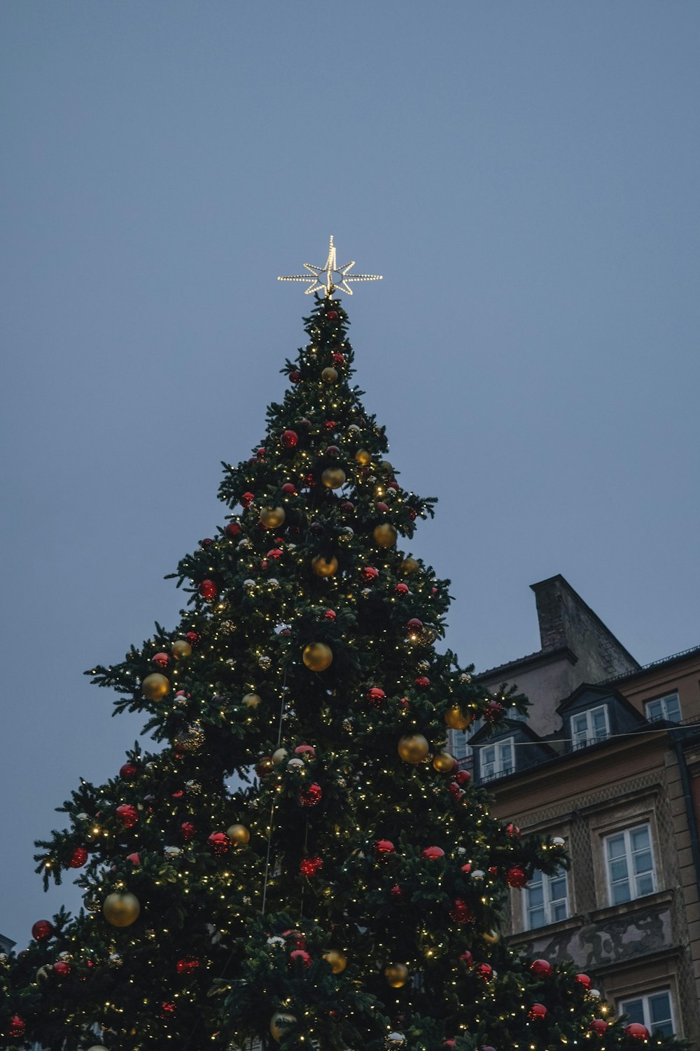 Ein großer Weihnachtsbaum vor einem Gebäude