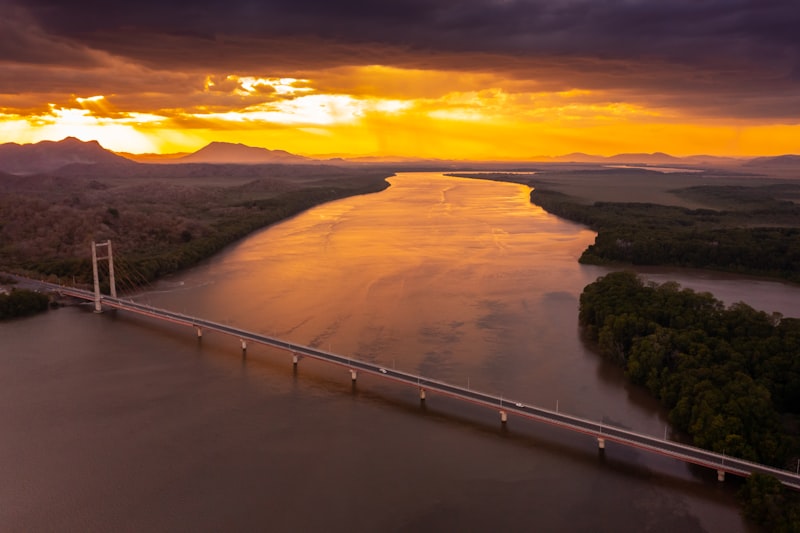 Puente sobre el río en la selva en Costa Rica