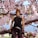 A detailed anime-style figurine is seated on a tree branch surrounded by blossoming pink cherry blossoms. The figurine wears a dark vest and pants, featuring intricate designs on its outfit. The background includes a clear blue sky and a hint of a distant, blurred landscape.