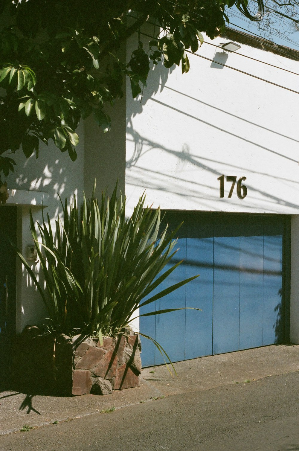 a blue and white garage door next to a tree