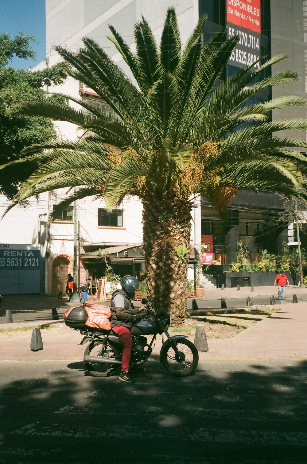 a man riding a motorcycle next to a palm tree