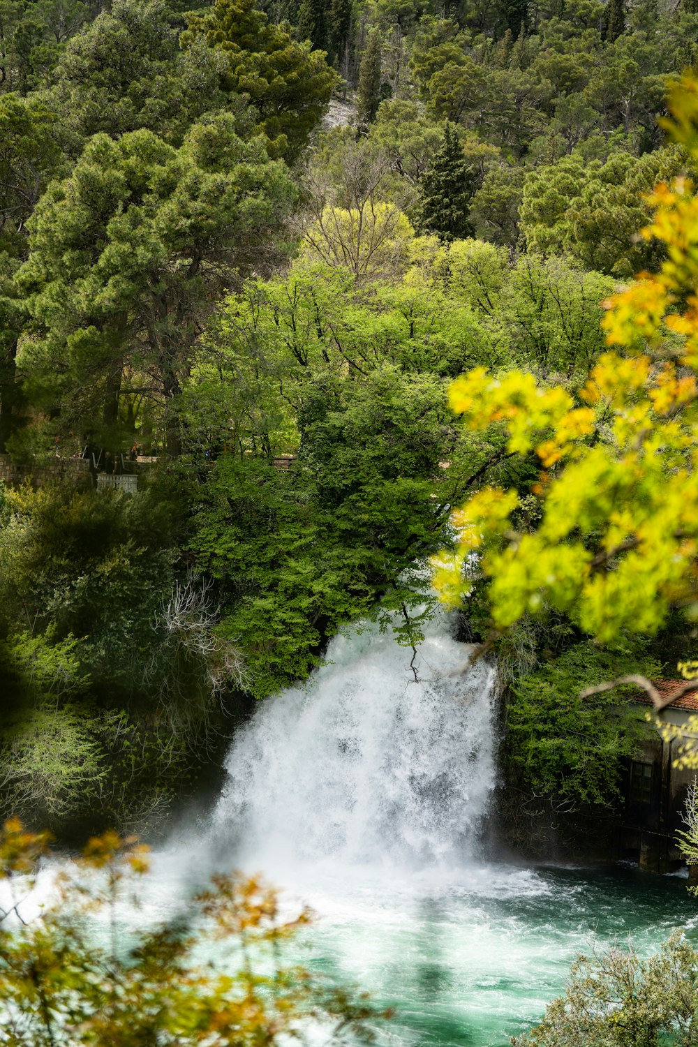 Ein Wasserfall mitten im Wald