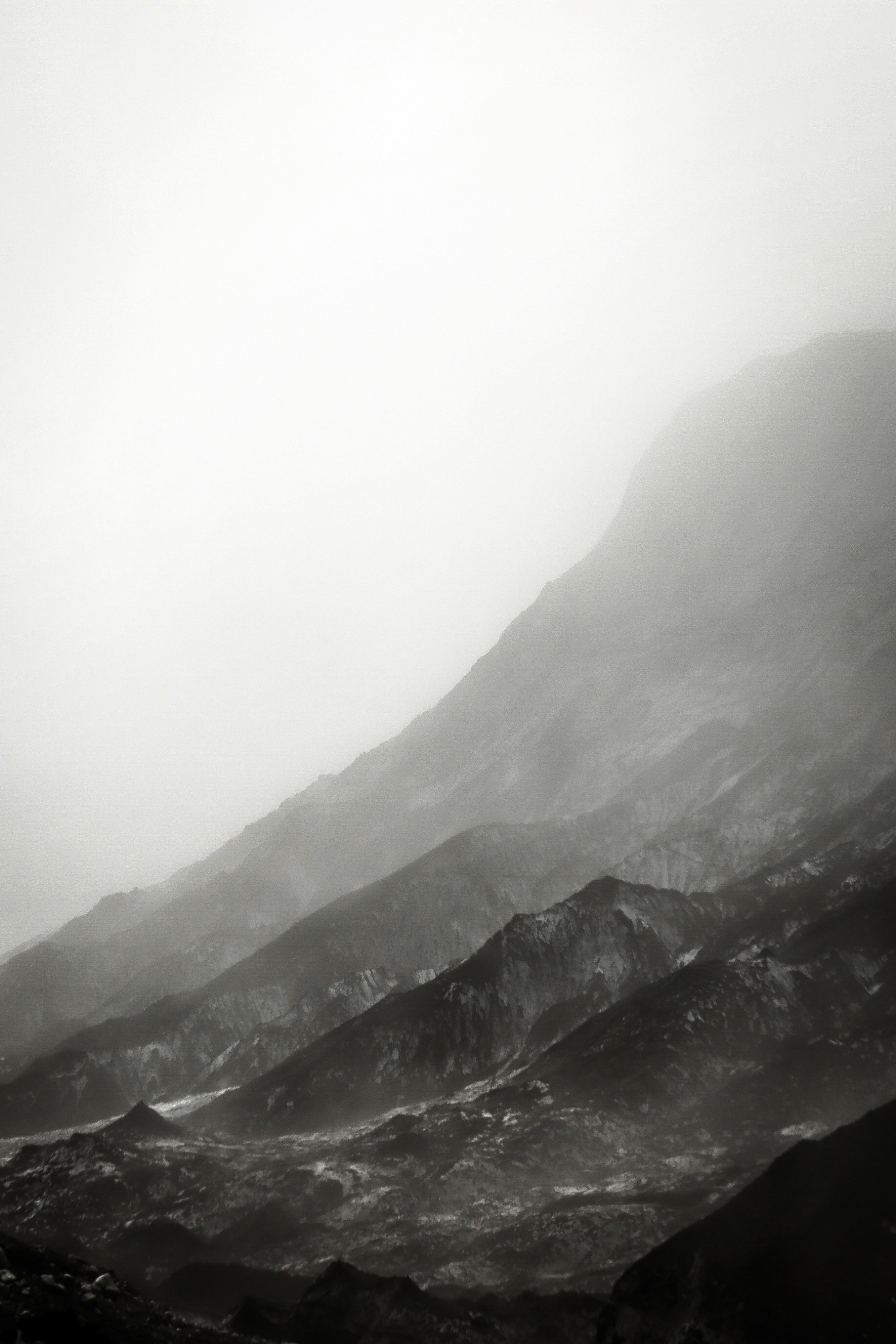 Photo by nalani_photo