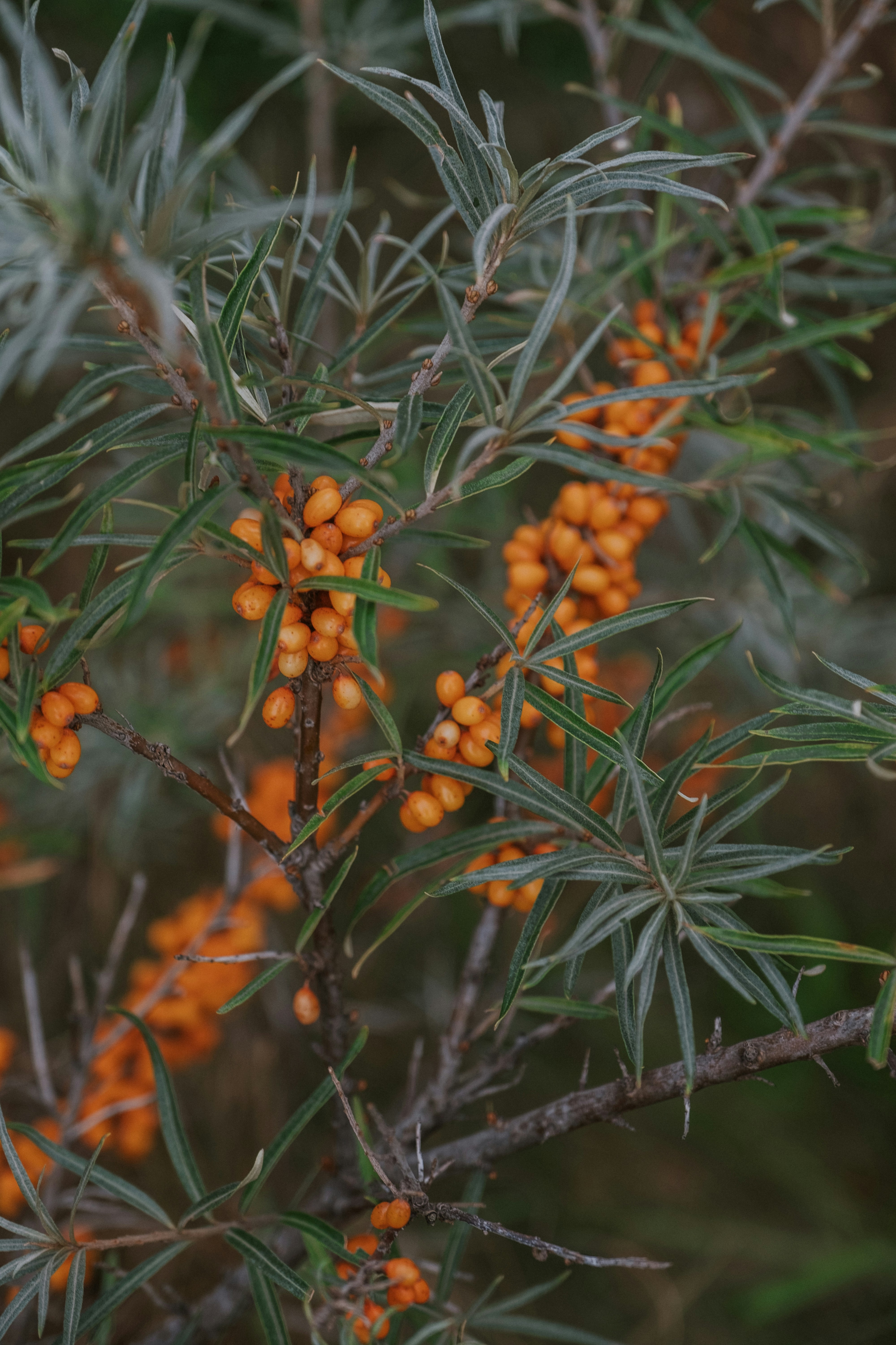 Photo by brzozowskakrzysia