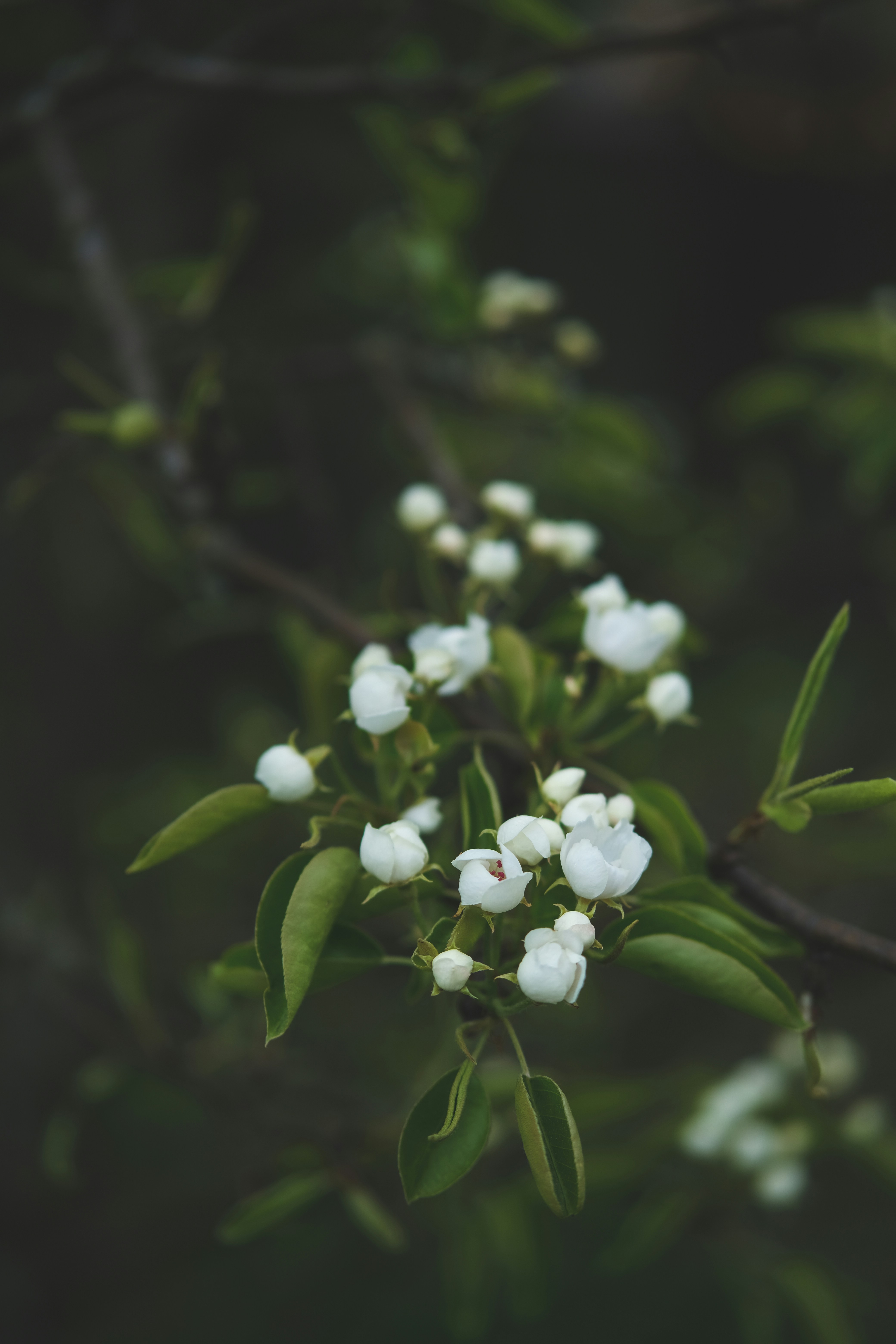 Photo by rolig_basseng